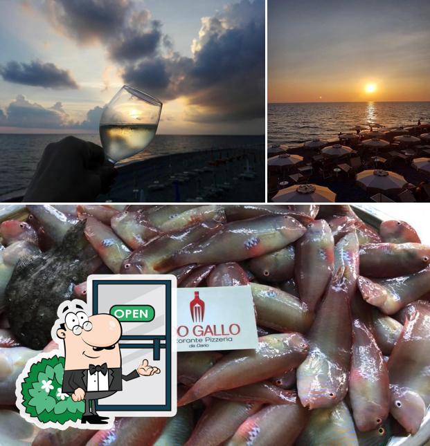 Tra le diverse cose da Lido Gallo Ristorante Pizzeria si possono trovare la esterno e frutti di mare