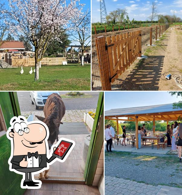 Agriturismo da Ottavia di Ottavia Fossati