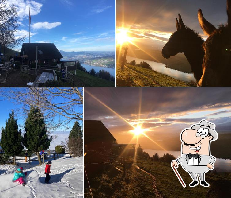 Curiosa tra la parte esterna di Ruodisegg