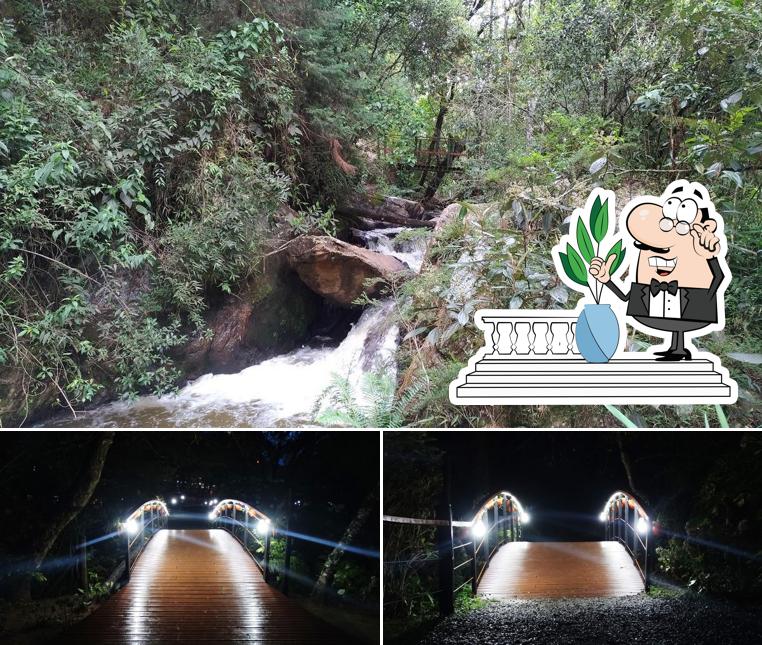 Você pode espairecer no na área externa do Bosque do Silêncio