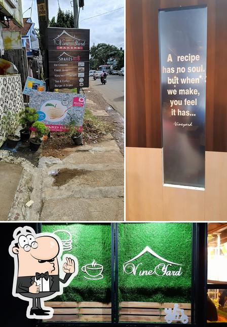 Look at the photo of Vineyard's