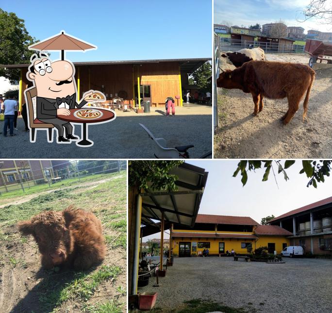 Gli esterni di Lattolandia Agrigelateria Alpignano