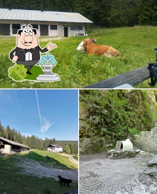 Gli esterni di Malga di Fondo