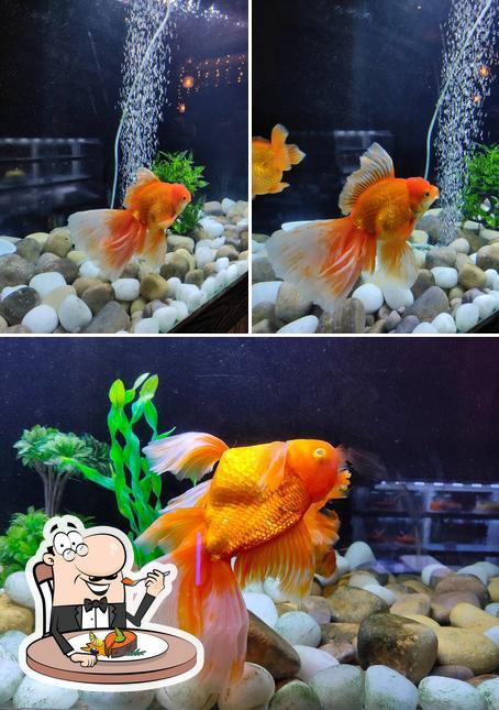 Our Place - The Food Hunt provides a menu for fish dish lovers