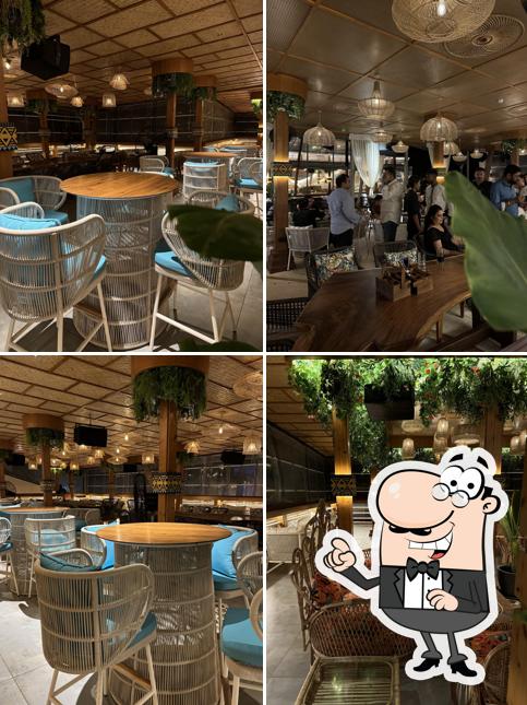 Check out how Gypsea looks inside