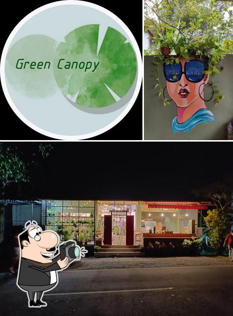 Look at this pic of Green Canopy Indoor Plants & Cafe