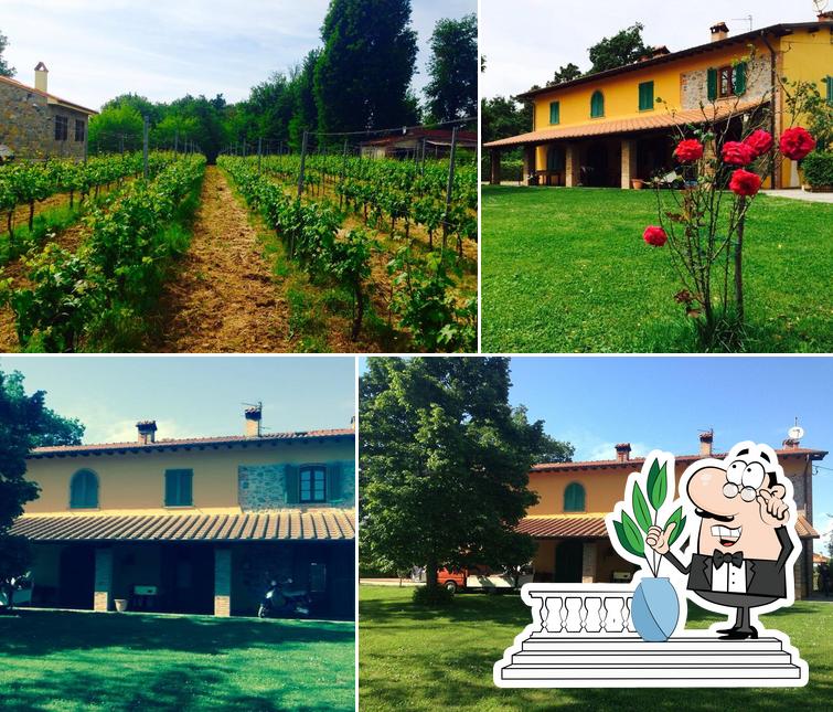 Gli esterni di Agriturismo Il Bosco