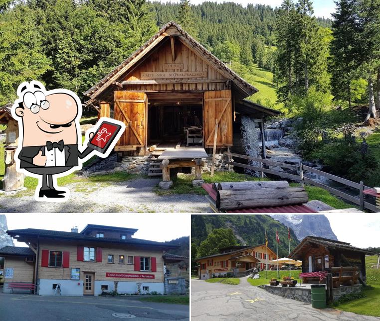 Curiosa tra l'area esterna di Chalet-Hotel Schwarzwaldalp