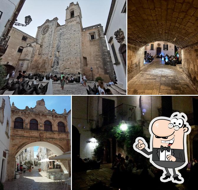 Curiosa tra la parte esterna di Gipas 111