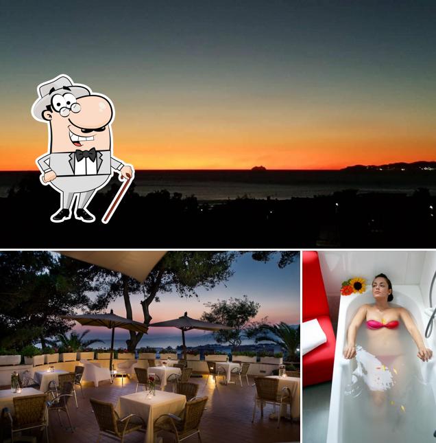 Curiosa tra gli esterni di Hotel Sinuessa Terme
