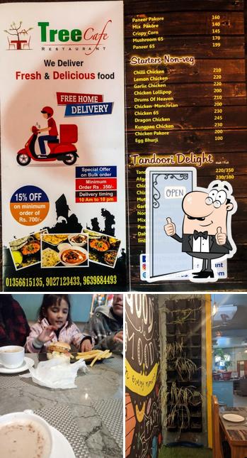 Tree Cafe & Restaurant Outlet 2