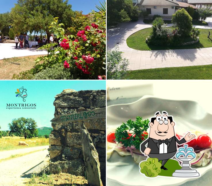 Gli esterni di Montrigos