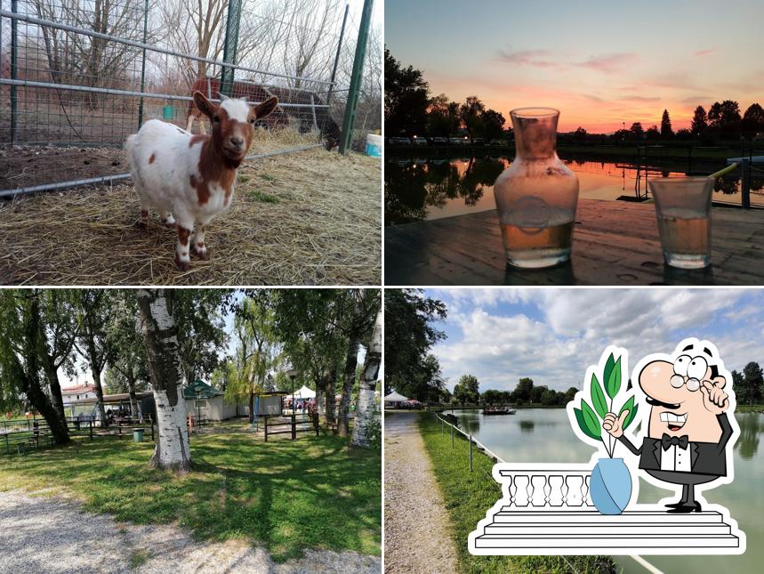 Bar Lago Berico Di Antonio Acampora