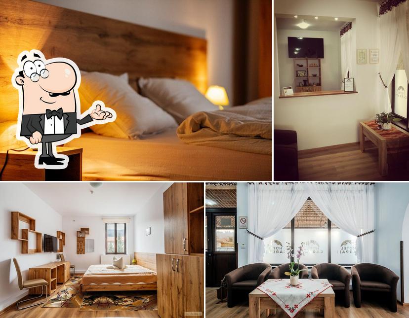 Hotel Carpati Bucovina