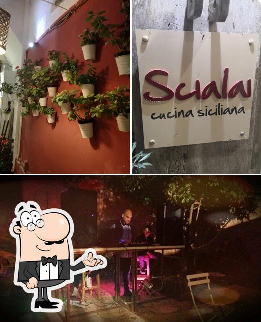 Dai un'occhiata agli interni di Scialai