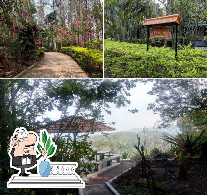 The exterior of Tranquil Nest - Resort and Homestay