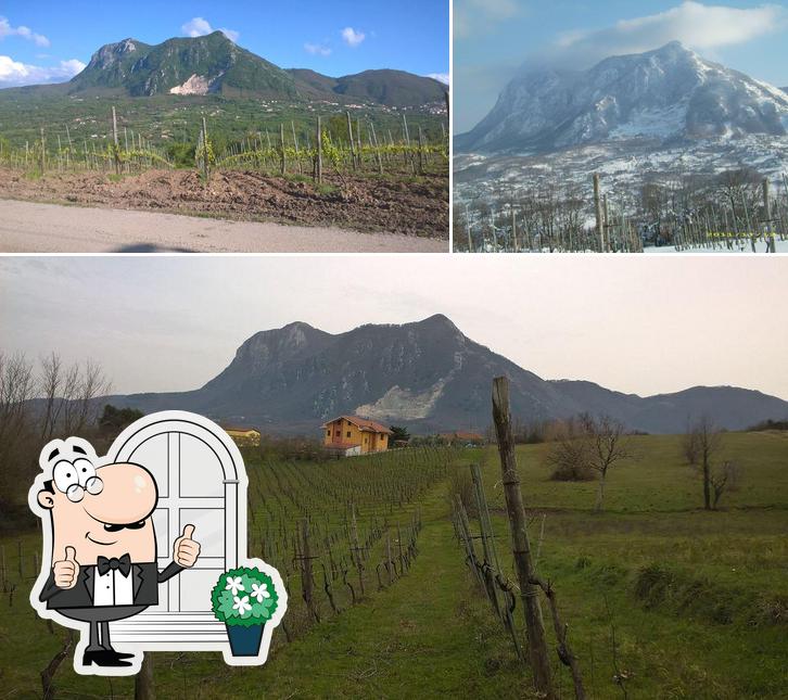 Gli esterni di Agriturismo Macchia dei briganti
