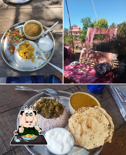 Food at Jungle Dance