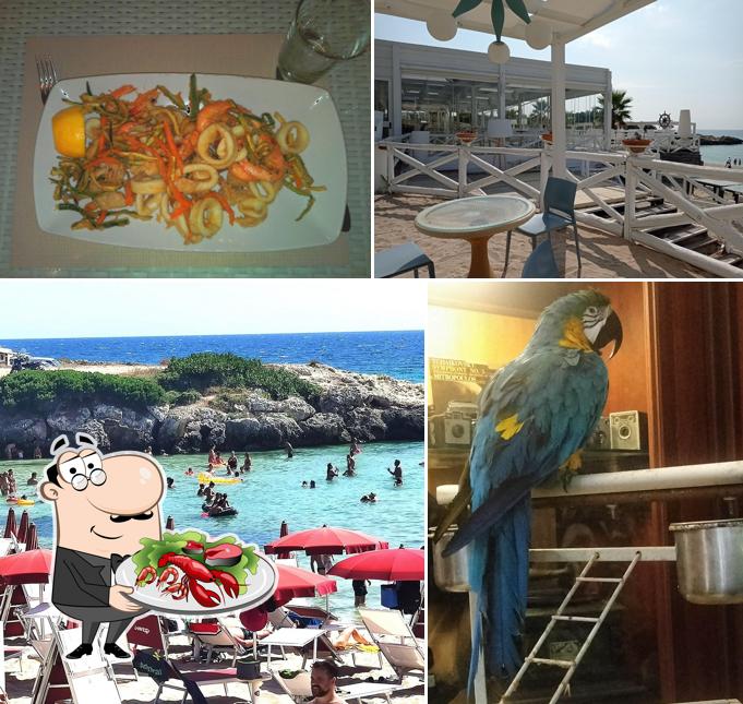 Prenditi tra i molti pasti di mare offerti a El Cohiba 59