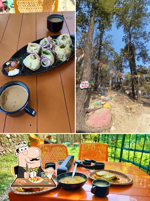 Aashiyana jungle cafe and huts