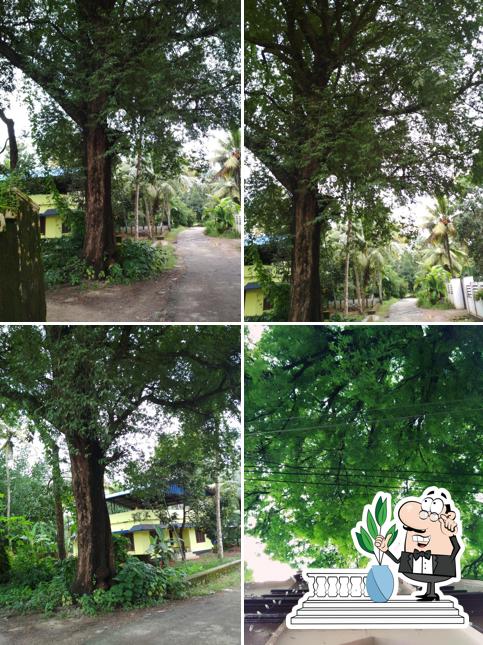 Check out how Pulinjod looks outside