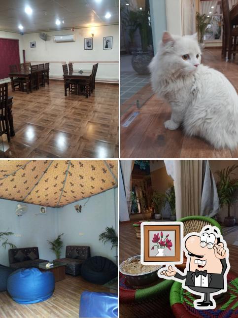 The interior of POP CAFE & RESTAURANT - PLACE OF PEOPLE