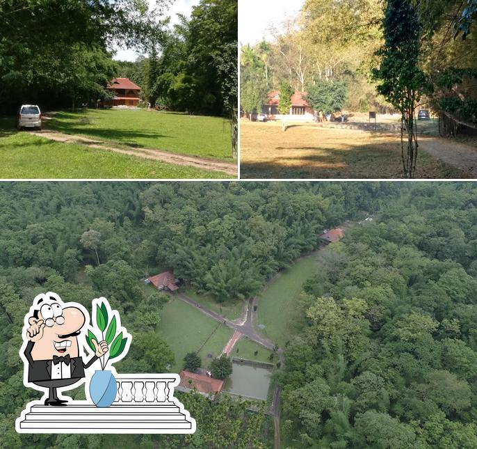 Check out how Elephant Valley Resort looks outside