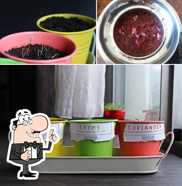 Bourgeons & Elixirs
