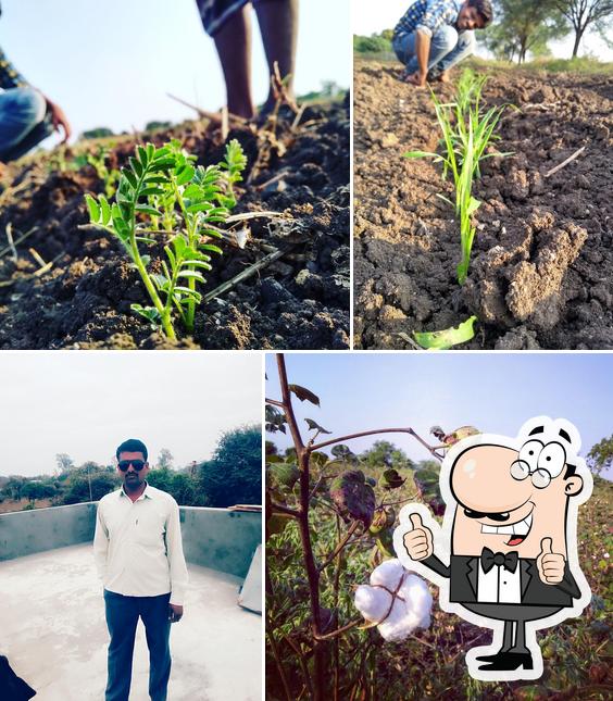 ज्ञानेशर साऊंड सव्हिस लाडेगाव