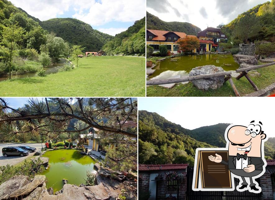 Villa Zelenjak - Ventek