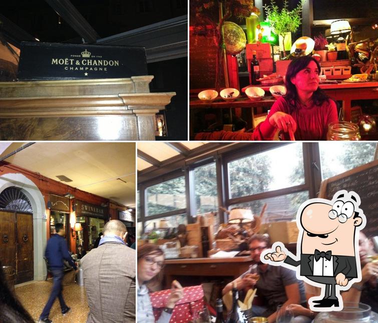 Dai un'occhiata agli interni di Swinebar