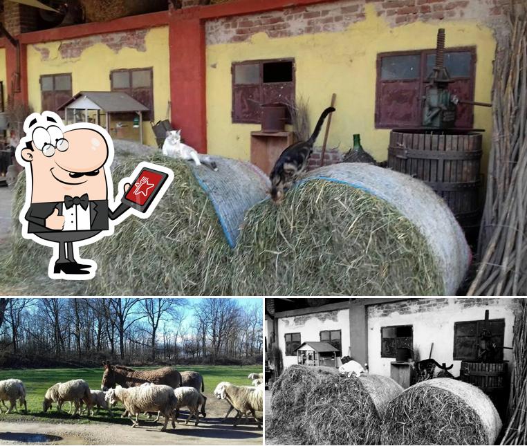 Gli esterni di Agriturismo Cascina Carolina