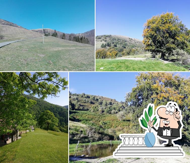 Guarda gli esterni di Alpetto Di Torno