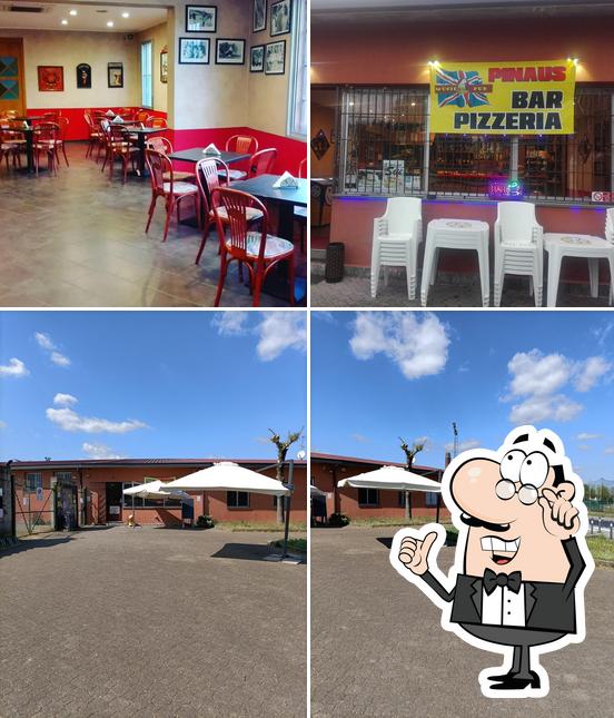 New pinaus si caratterizza per la interni e esterno