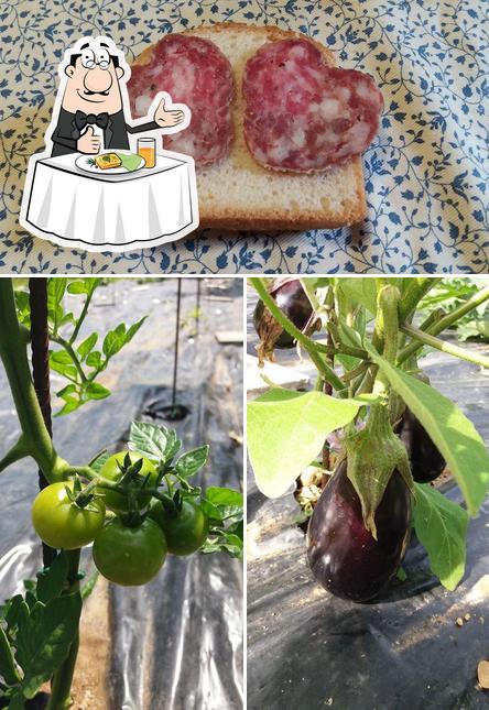 Cibo al Agriturismo La Pecora Nera