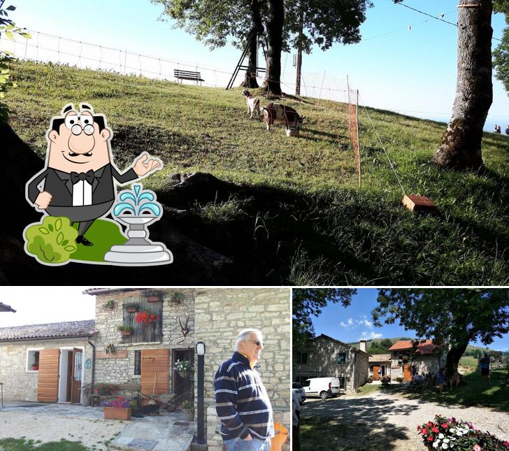 Goditi la vista dall'area esterna di Agriturismo Col Perer