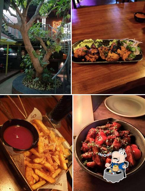 Meals at Fat Owl - Gastropub