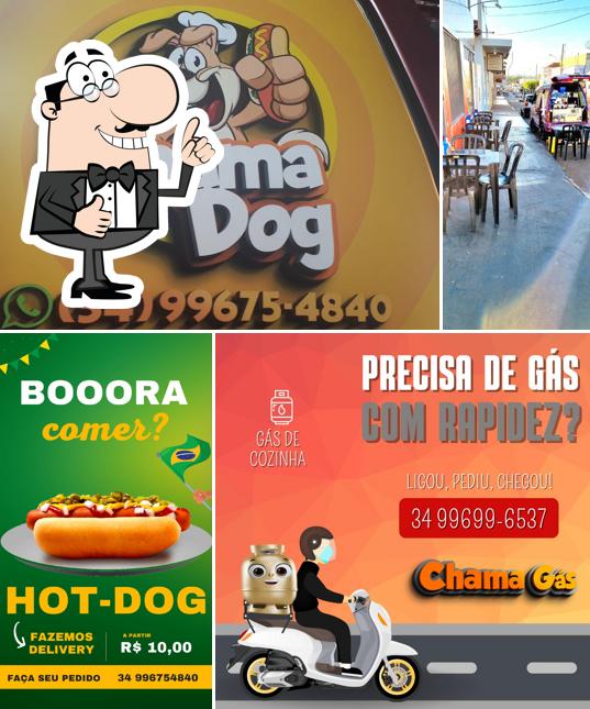 CHAMA DOG