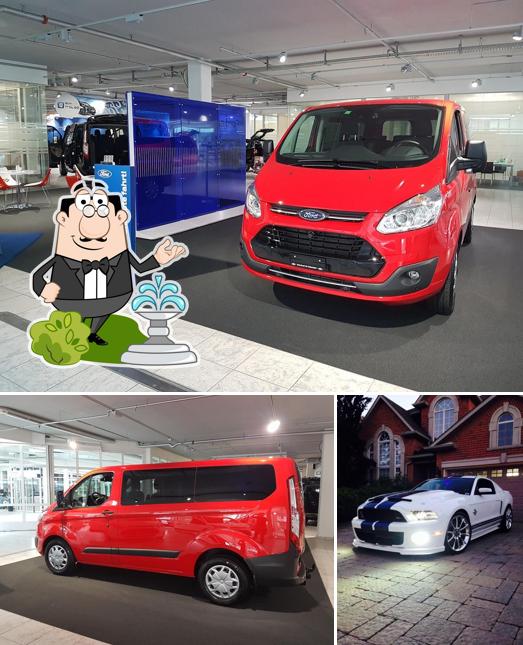 Vini Autoctoni Native Grapes