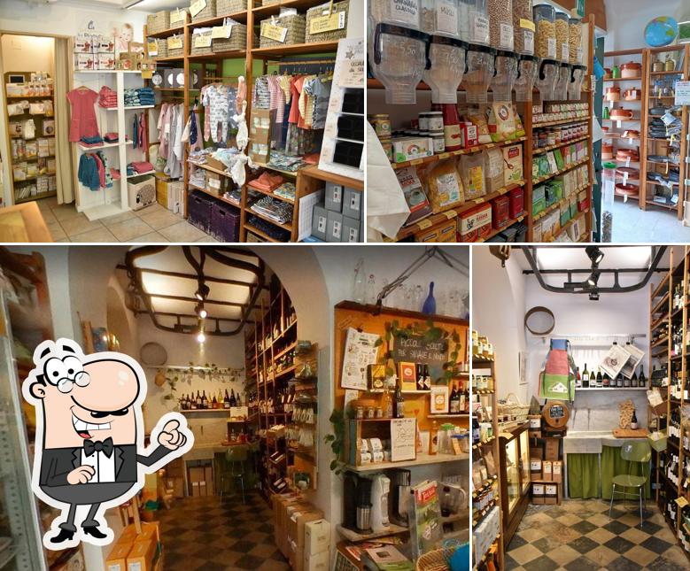 Tra le varie cose da Econegozio la formica si possono trovare la interni e cibo
