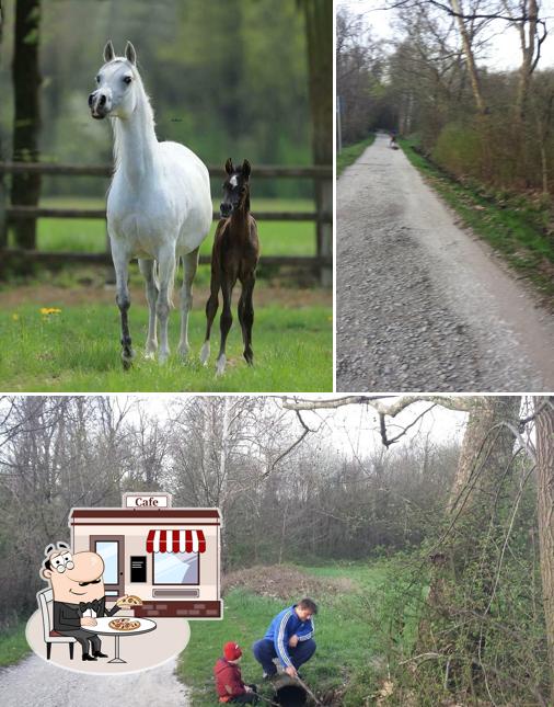 Puoi goderti l'aria fresca dal dehors di Il Grifondoro