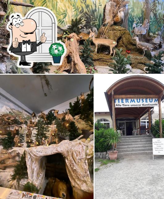 Profitez de la vue de l'espace ouvert de Juditas Café Restaurant in Tanneneck