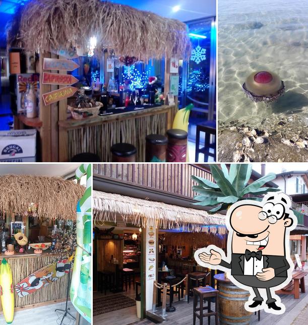 Comida Coktails Snack Bar