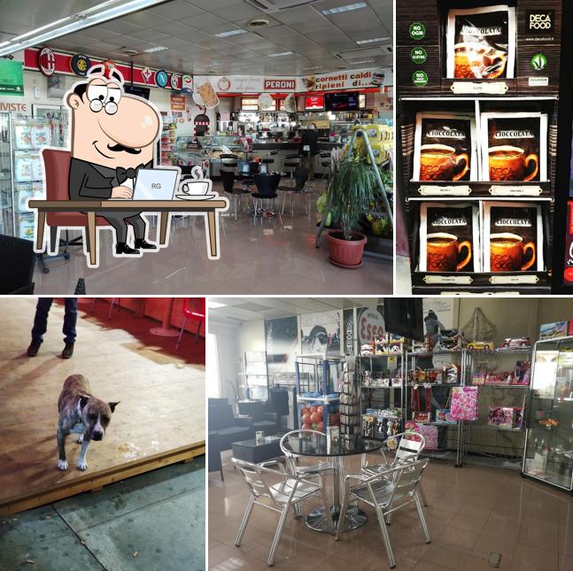 Gli interni di Esso Caianello