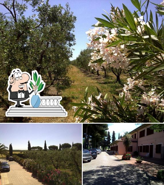Gli esterni di Agrihotel Elisabetta Srl