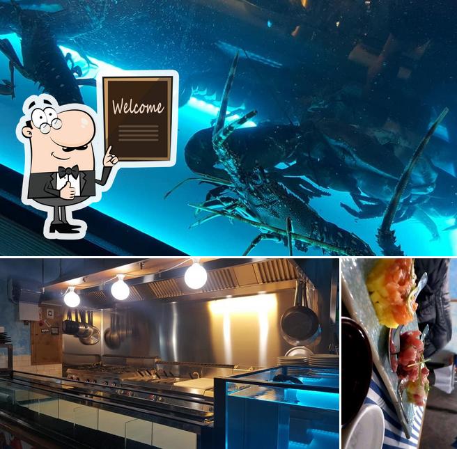 Ecco un'immagine di Dory-Restaurant