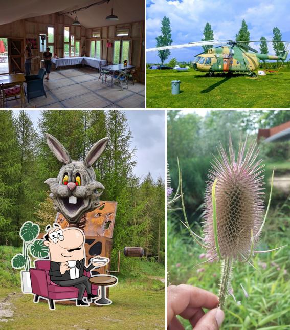 Netl Park & Netl Camping Kallumaan
