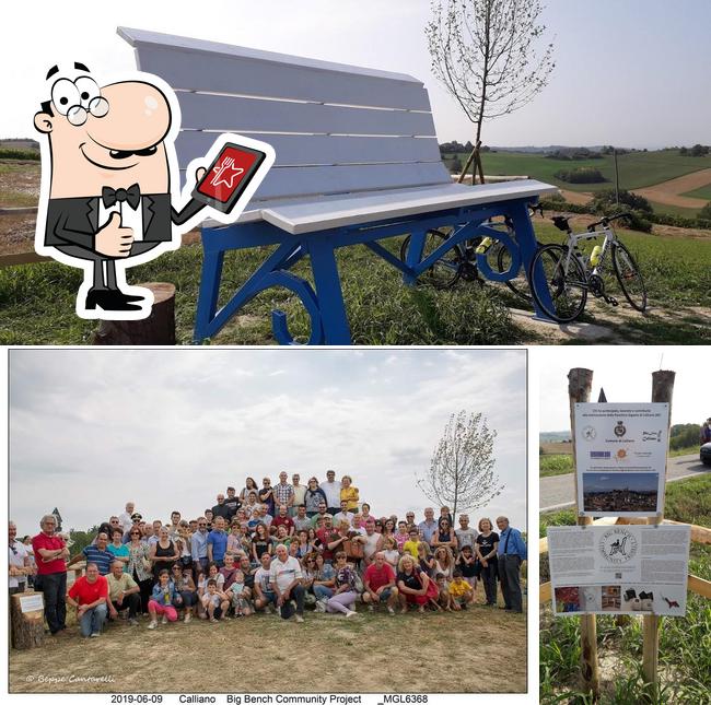 Guarda questa immagine di BIG BENCH N° 68 - CALLIANO