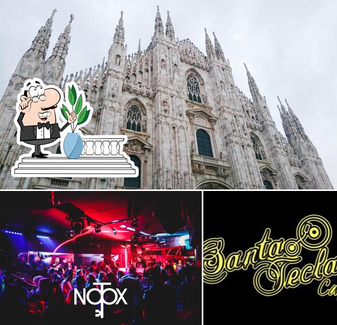 Gli esterni di Notox