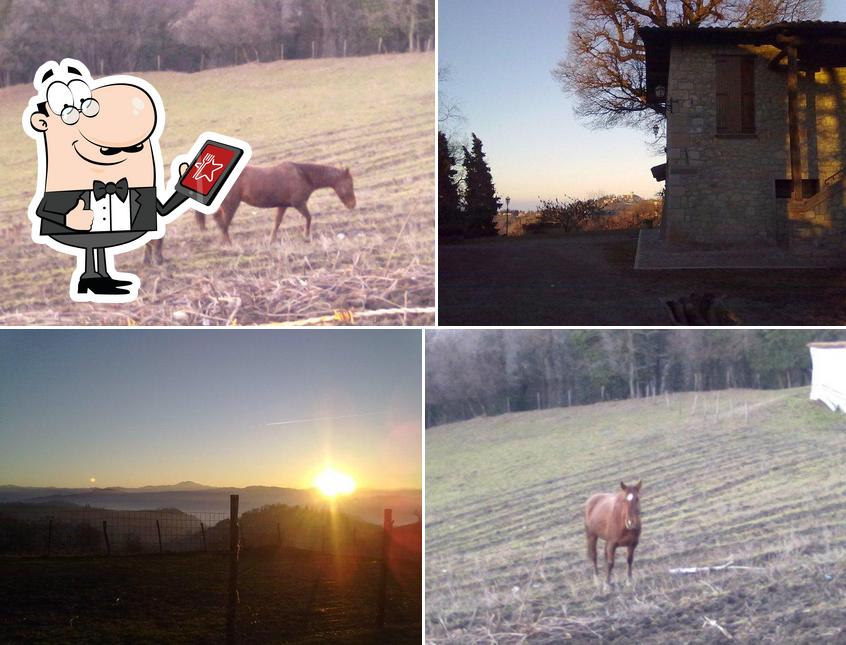 Agriturismo Rocchetta